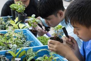 un grupo de jóvenes asiáticos sostiene una lupa y plantas en macetas y mira a través de la lente para estudiar especies de plantas y hacer proyectos, concepto de aprendizaje en el aula al aire libre, enfoque suave y selectivo. foto