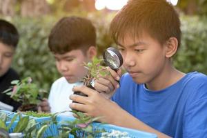 un grupo de jóvenes asiáticos sostiene una lupa y plantas en macetas y mira a través de la lente para estudiar especies de plantas y hacer proyectos, concepto de aprendizaje en el aula al aire libre, enfoque suave y selectivo. foto