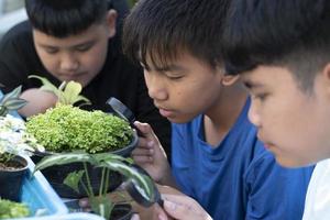 un grupo de jóvenes asiáticos sostiene una lupa y plantas en macetas y mira a través de la lente para estudiar especies de plantas y hacer proyectos, concepto de aprendizaje en el aula al aire libre, enfoque suave y selectivo. foto