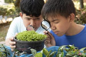 un grupo de jóvenes asiáticos sostiene una lupa y plantas en macetas y mira a través de la lente para estudiar especies de plantas y hacer proyectos, concepto de aprendizaje en el aula al aire libre, enfoque suave y selectivo. foto