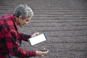 Elderly asian smart coffee bean farmer in red and black shirt sitting in the middle area of coffee bean pile drying floor and holding taplet in hand to check coffee quality, soft and selective focus. photo