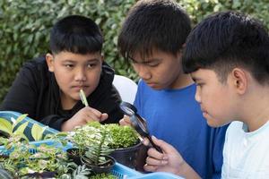 un grupo de jóvenes asiáticos sostiene una lupa y plantas en macetas y mira a través de la lente para estudiar especies de plantas y hacer proyectos, concepto de aprendizaje en el aula al aire libre, enfoque suave y selectivo. foto