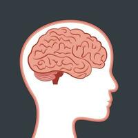 Human Brain scientific vector illustration design