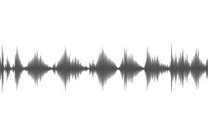 Black sound wave isolated on white background vector