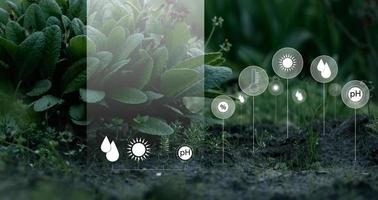 Soil quality control, checking the level of moisture, alkaline environment, temperature. photo