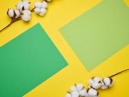 Cotton flower on a yellow paper background, overhead. Minimalism flat lay composition photo