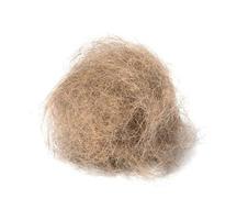 A tuft of gray cat hair on a white isolated background photo