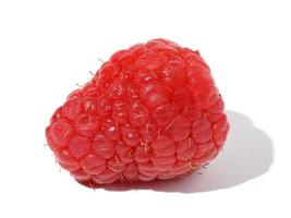 Ripe red raspberry on a white isolated background photo