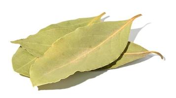 Dry bay leaf on a white isolated background, close up photo