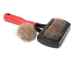 Plastic brush and combing out wool in animals and a tuft of gray cat hair on a white background photo