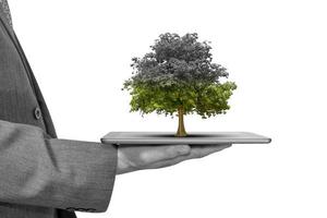 Businessman holding a tablet with tree isolated on white background,Business concept are failing photo