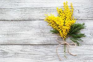 Branch of yellow spring flowers mimosa on white wooden background with copyspace photo