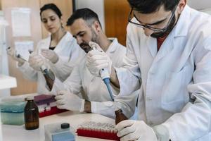 Group of scientists working at the lab photo