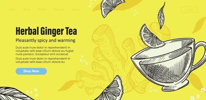 Herbal ginger tea with mint leaves and citrus vector
