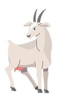 Goat domestic and farm animals, livestock vector
