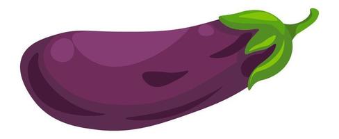 Aubergine or eggplant vegetable, organic veggies vector