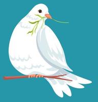 Dove sitting on branch holding foliage in beak vector