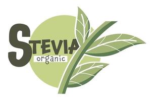 Stevia organic sweetener for diabetic people vector