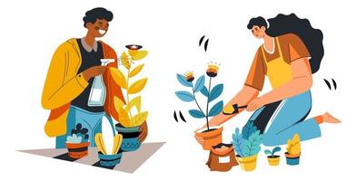 People gardening and transplanting houseplants vector