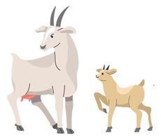Goat and goatling, farming and domestic animals vector