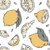 Hand drawn lemon seamless pattern with cut lemon slices, leaves, seads on white background, vector illustration