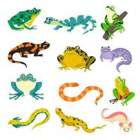 Amphibians snakes and lizards, frogs and iguana vector