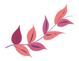 Exotic leaf, decorative foliage branches vector