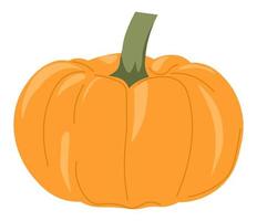 Pumpkin autumn vegetable, ripe veggie harvest vector