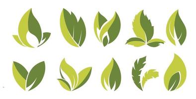 Leaves ecologically friendly emblem or label sign vector