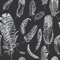 Seamless pattern of bird feather on chalkboard background Realistic sketch . Detailed ink Line pen Clip Art, Black and White Boho Clipart. Hand Drawn engraving style plume. Vintage Vector Illustration