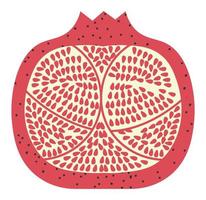 Pomegranate exotic fresh fruit cut in half vector