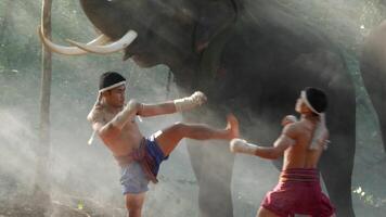 Two Young males wearing Thai tradition short, head and hands wrapped in twisted hemp rope and showing beautiful fighting art of Muay Thai, Blurred elephants and spreading white mist in background video