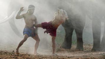 dois jovens do sexo masculino vestindo shorts da tradição tailandesa, cabeça e mãos enroladas em corda de cânhamo torcida e mostrando uma bela arte de luta de muay thai, elefantes borrados e névoa branca espalhada ao fundo video