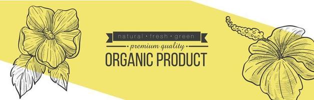 Organic product in natural shop or store vector