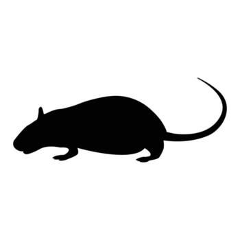 simple mouse logo vector template
