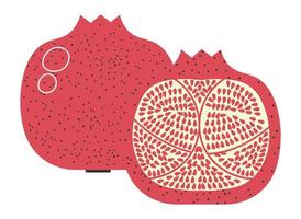 Pomegranate fruit cut in half, organic meal vector