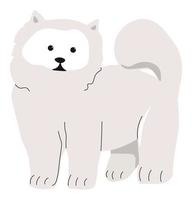 Miniature lapdog, canine animal with furry coat vector