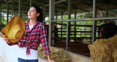 mujer asiática bastante agrícola ganadera con camisa a cuadros y jeans se quita el sombrero de paja y saluda para refrescarse mientras trabaja en una granja de ganado con clima cálido video