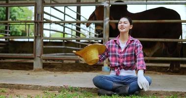 Pretty agricultural cattle farmer sitting and take off straw hat and waving to cool down with tiredness in heat weather on livestock farm video