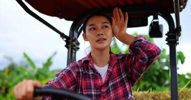 Pretty Young Farmer female sitting wipe sweat from exhaustion and heat on tractor, she working at plantation in hot weather video