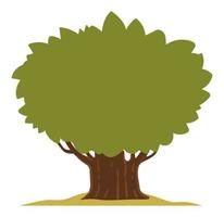 Tree with lush foliage and big trunk in parks vector