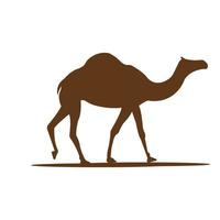 camel logo vector