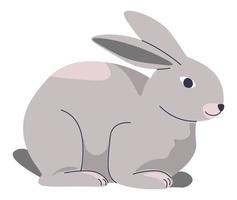 Small rabbit or hare, cute bunny breeding farm vector