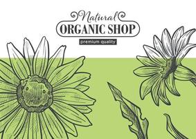 Organic shop, store with natural products cosmetic vector