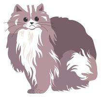 gato peludo, gatito con bigotes, animal felino vector