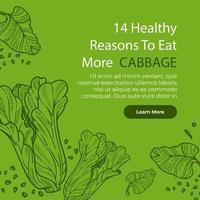 Healthy reasons to eat more cabbage and vegetables vector