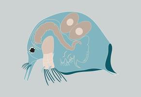 Plankton or water flea shameless vector icon. Cartoon vector icon isolated on blue background.