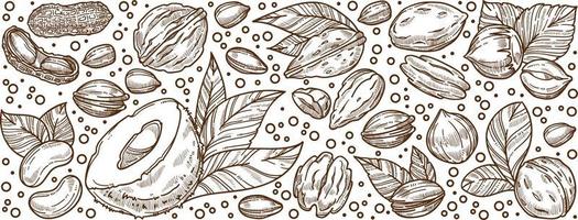 Almonds and nuts, nutrition and dieting banner vector
