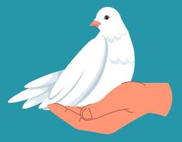Dove in hand, pigeon symbol peace and tranquility vector