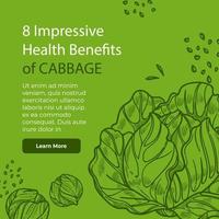 Impressive health benefits of cabbage, website vector